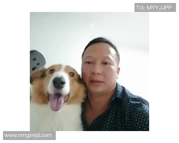 足球竞彩开奖查询最新动态与分析助你精准预测赛事结果